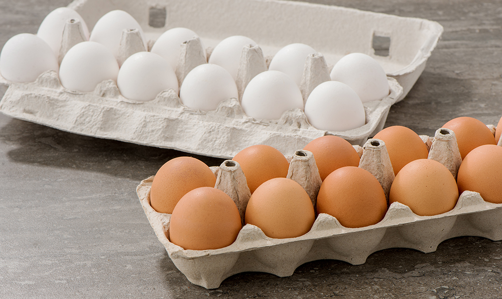 Difference Between Brown and White Eggs: Nutrition, Taste & Myths