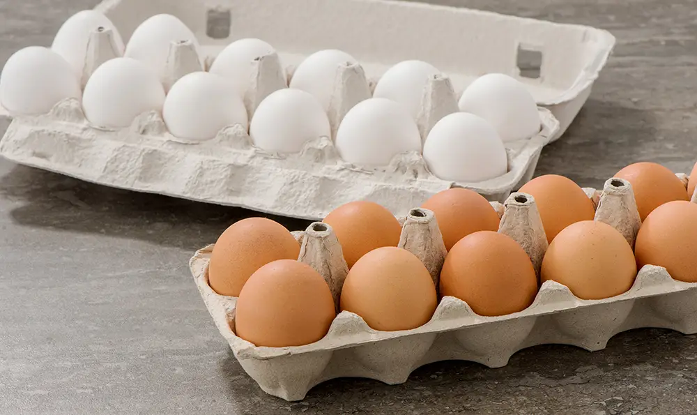 Difference Between Brown and White Eggs: Nutrition, Taste & Myths