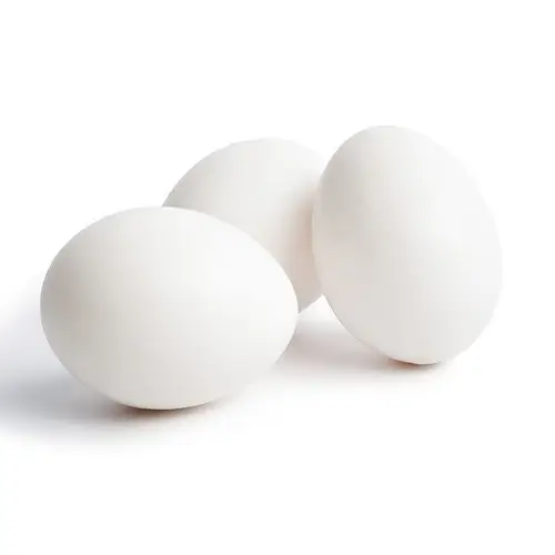 how much protein is in one egg (2025) Full Guide