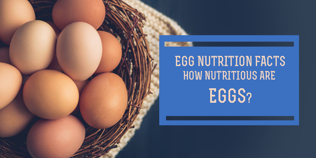 Egg Nutrition: Facts, Benefits, and Health Value