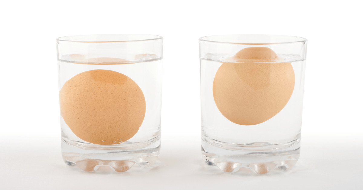 eggs flot test