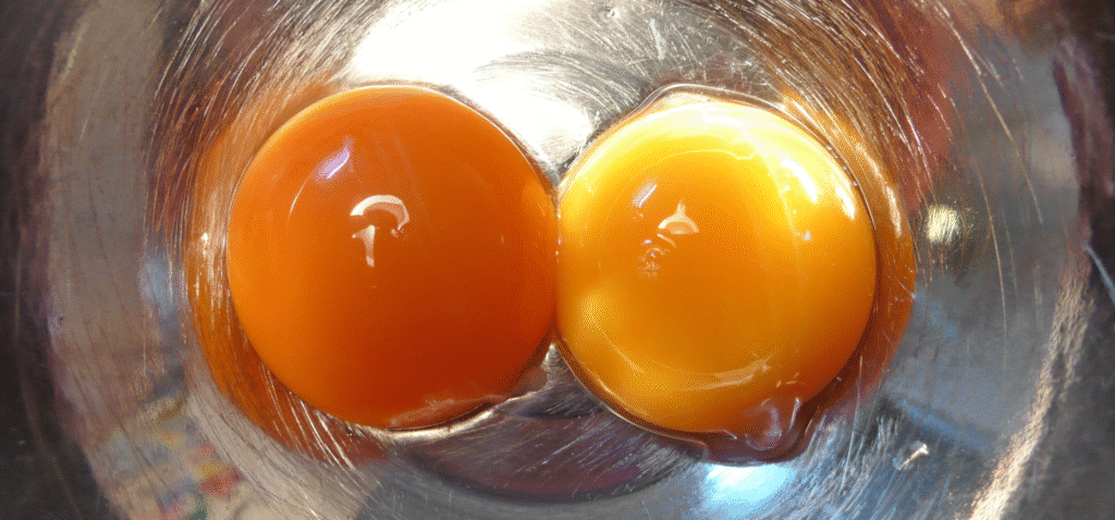 Can You Eat Expired Eggs?