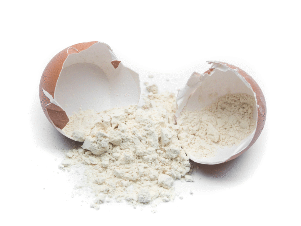 egg white powder